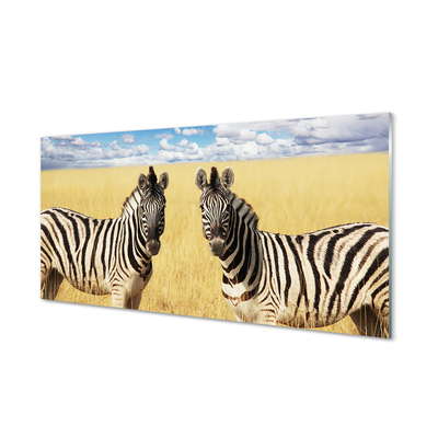 Glas panel Zebrafält