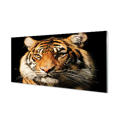 Glas panel Tiger