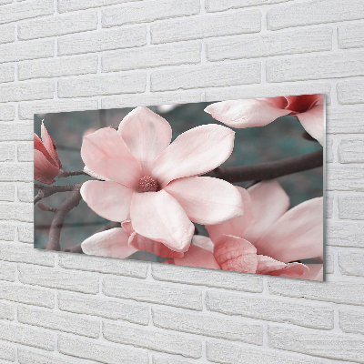 Glas panel Rosa blommor