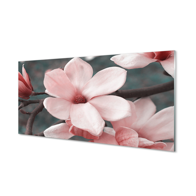 Glas panel Rosa blommor