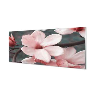 Glas panel Rosa blommor