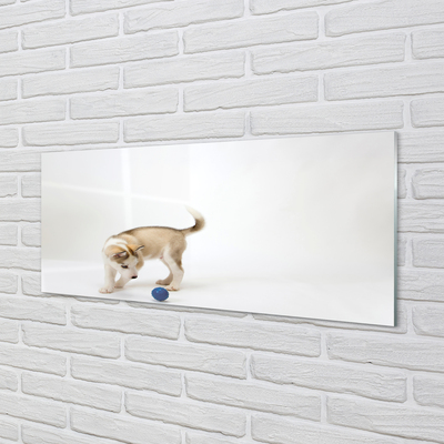 Glas panel En hund som leker