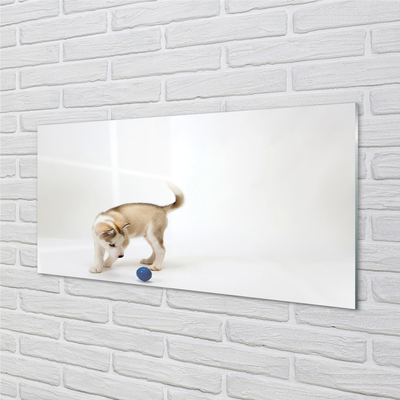 Glas panel En hund som leker