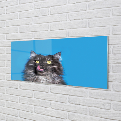 Glas panel En slickande katt