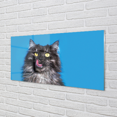 Glas panel En slickande katt