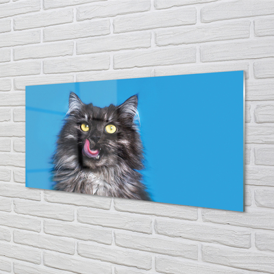 Glas panel En slickande katt