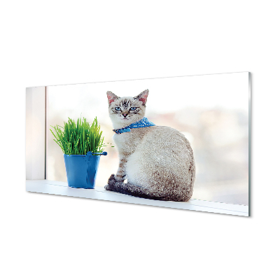 Glas panel Sittande katt