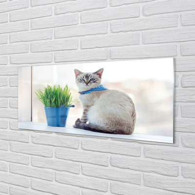 Glas panel Sittande katt