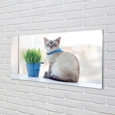 Glas panel Sittande katt