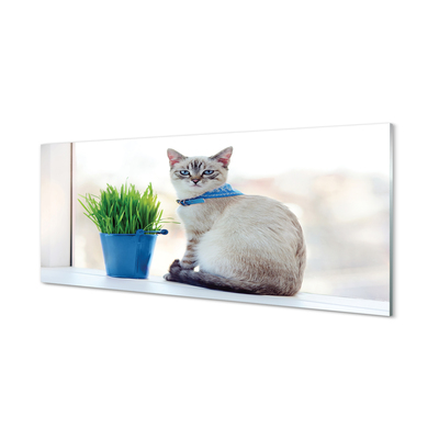 Glas panel Sittande katt