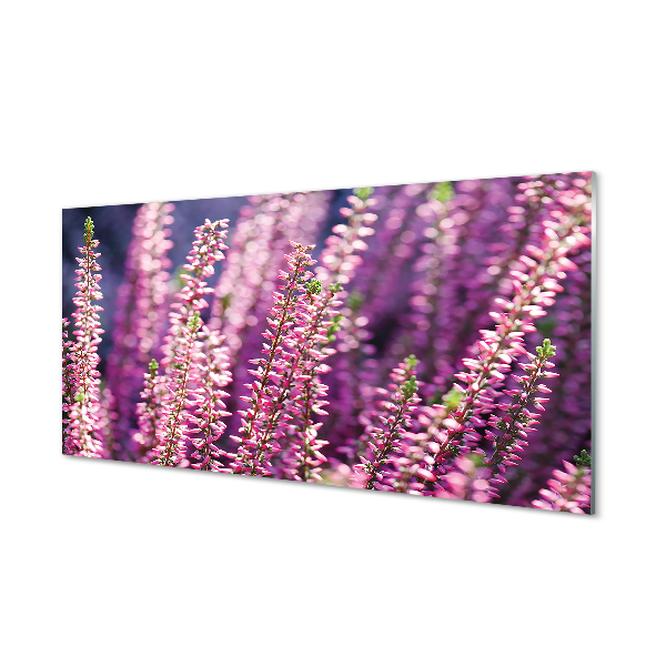 Glas panel Blommor