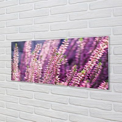 Glas panel Blommor