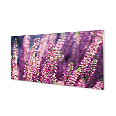 Glas panel Blommor