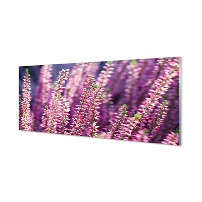 Glas panel Blommor