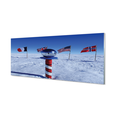 Glas panel Brasilien flagga