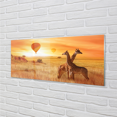 Glas panel Giraff himmel ballonger