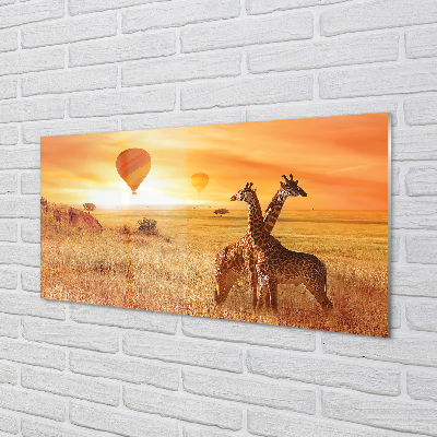 Glas panel Giraff himmel ballonger