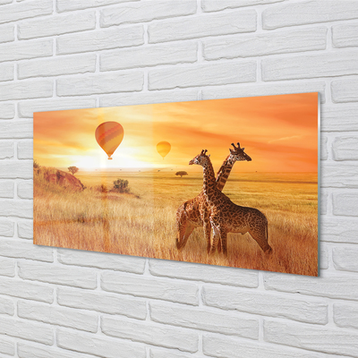 Glas panel Giraff himmel ballonger