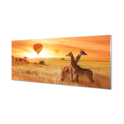 Glas panel Giraff himmel ballonger