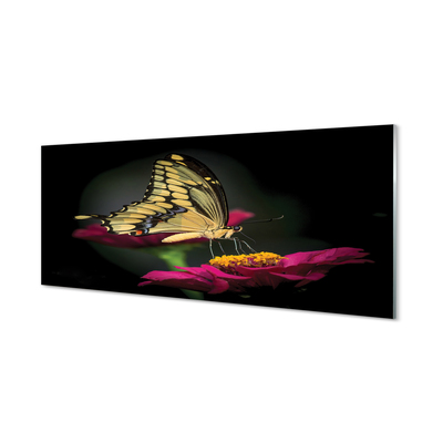 Glas panel Fjäril på en blomma