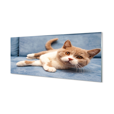 Glas panel Liggande katt