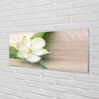 Glas panel Vit magnolia