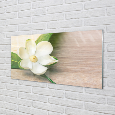 Glas panel Vit magnolia