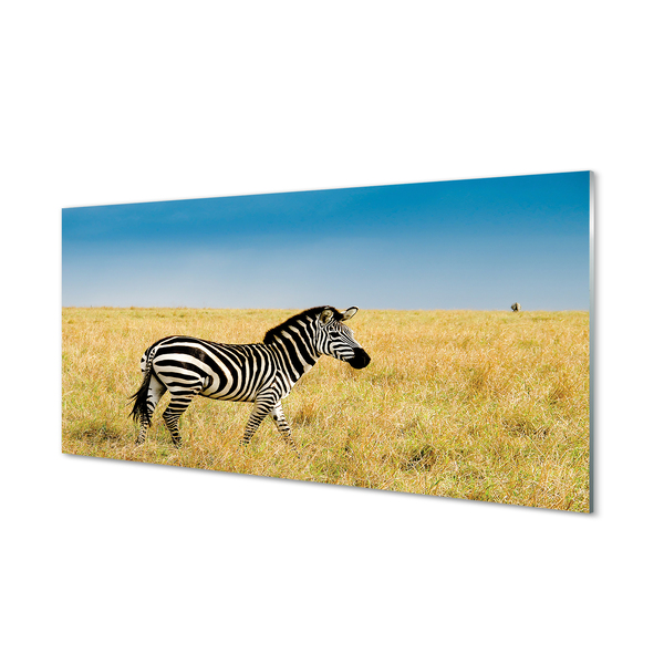 Glas panel Zebrafält