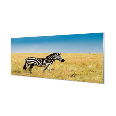 Glas panel Zebrafält