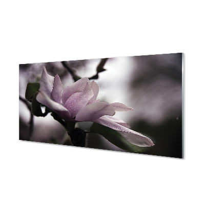 Glas panel Magnolia