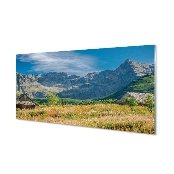 Glas panel Berg, åkrar, stugor