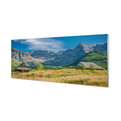 Glas panel Berg, åkrar, stugor