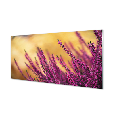 Glas panel Blommor