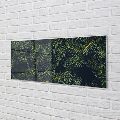 Glas panel Julgranskvistar