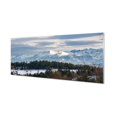 Glas panel Berg vinter snö