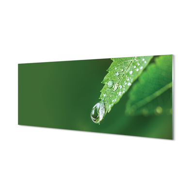 Glas panel Löv vattendroppe