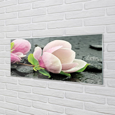 Glas panel Magnolia stenar