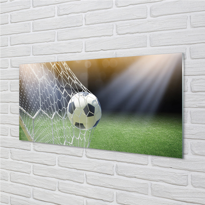 Glas panel Stadionboll