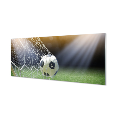 Glas panel Stadionboll