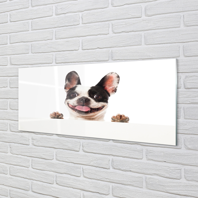 Glas panel Hund