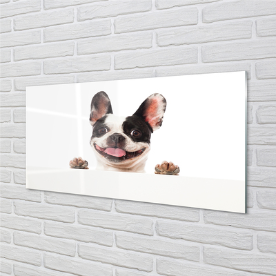 Glas panel Hund