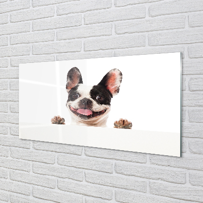 Glas panel Hund