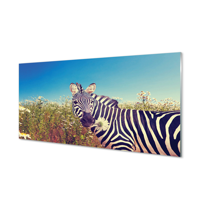 Glas panel Zebra blommor