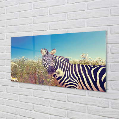 Glas panel Zebra blommor