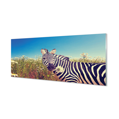 Glas panel Zebra blommor