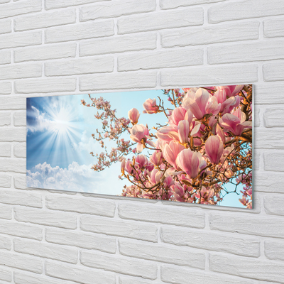 Glas panel Magnolia solhimmel