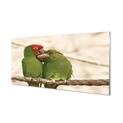 Glas panel Gröna papegojor