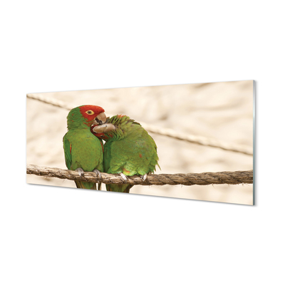 Glas panel Gröna papegojor