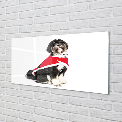 Glas panel Hund