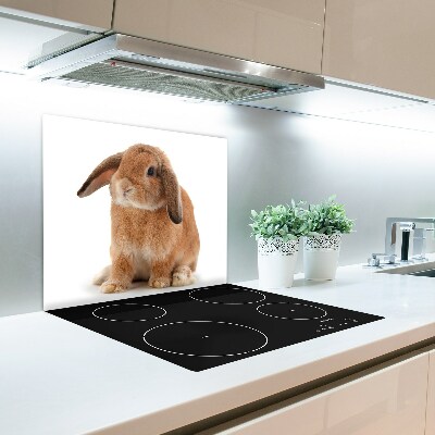 Glasskärbräda Röd kanin